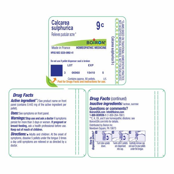 Boiron Calcarea Sulphurica 9C Homeopathic Single Medicine For First Aid 80 Pellet