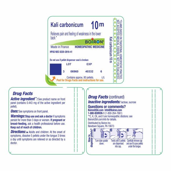 Boiron Kali Carbonicum 10M Homeopathic Single Medicine For Pain 80 Pellet