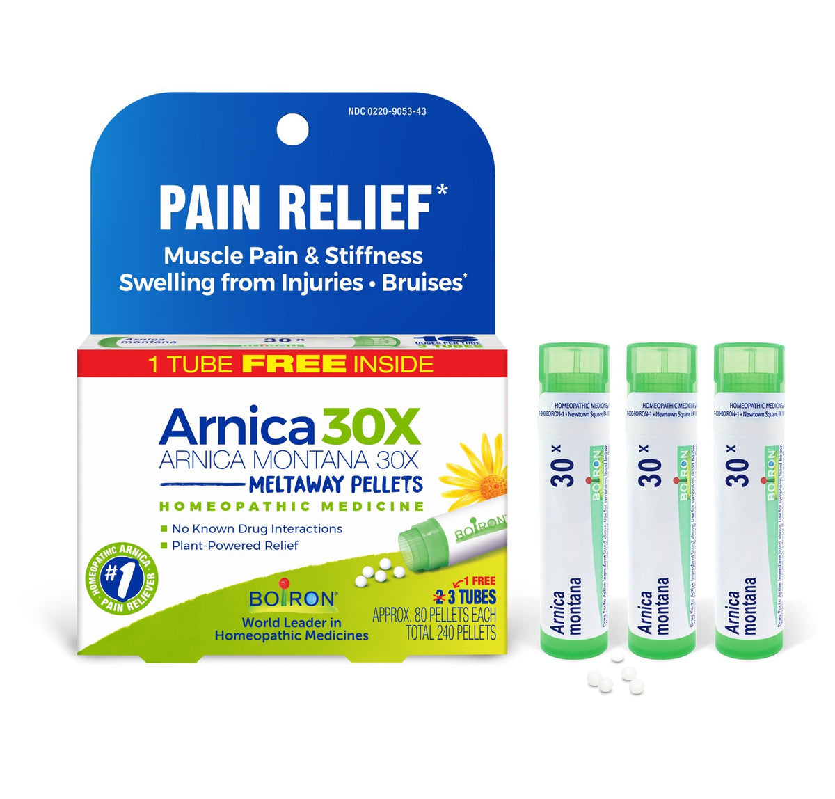 Boiron Arnica Montana 30X 3 MDT Homeopathic Medicine For Pain Relief 3 Tube