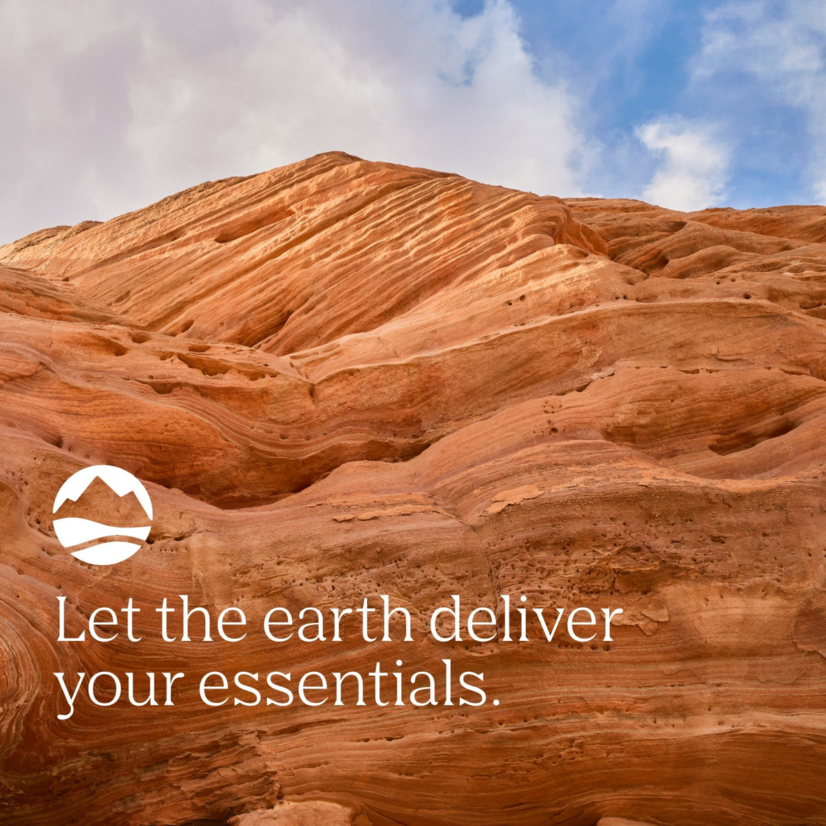 Trace Minerals Beef Organ 180 Capsule