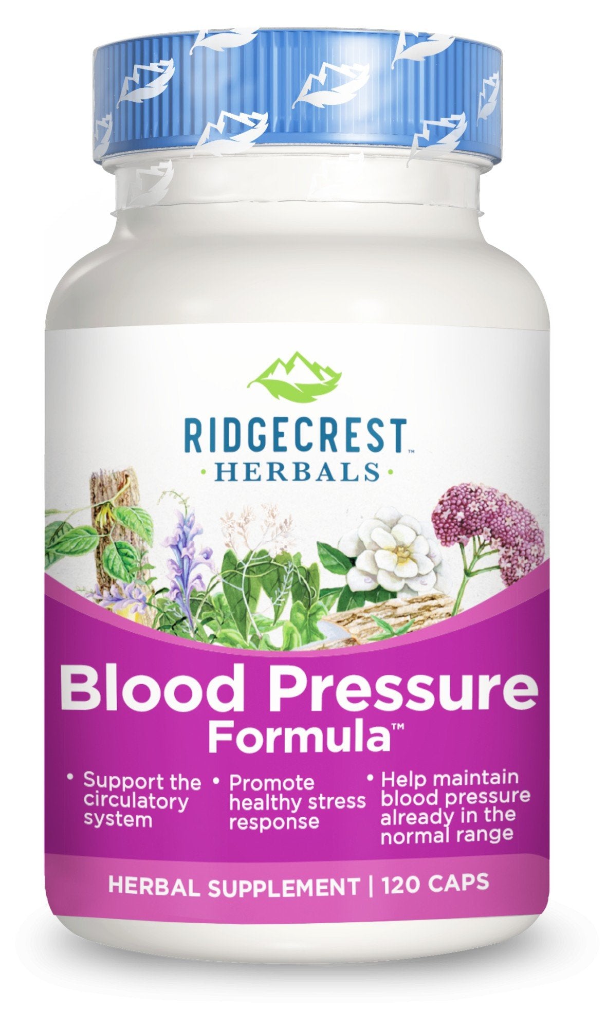 Ridgecrest Herbals Blood Pressure Formula 120 VegCap