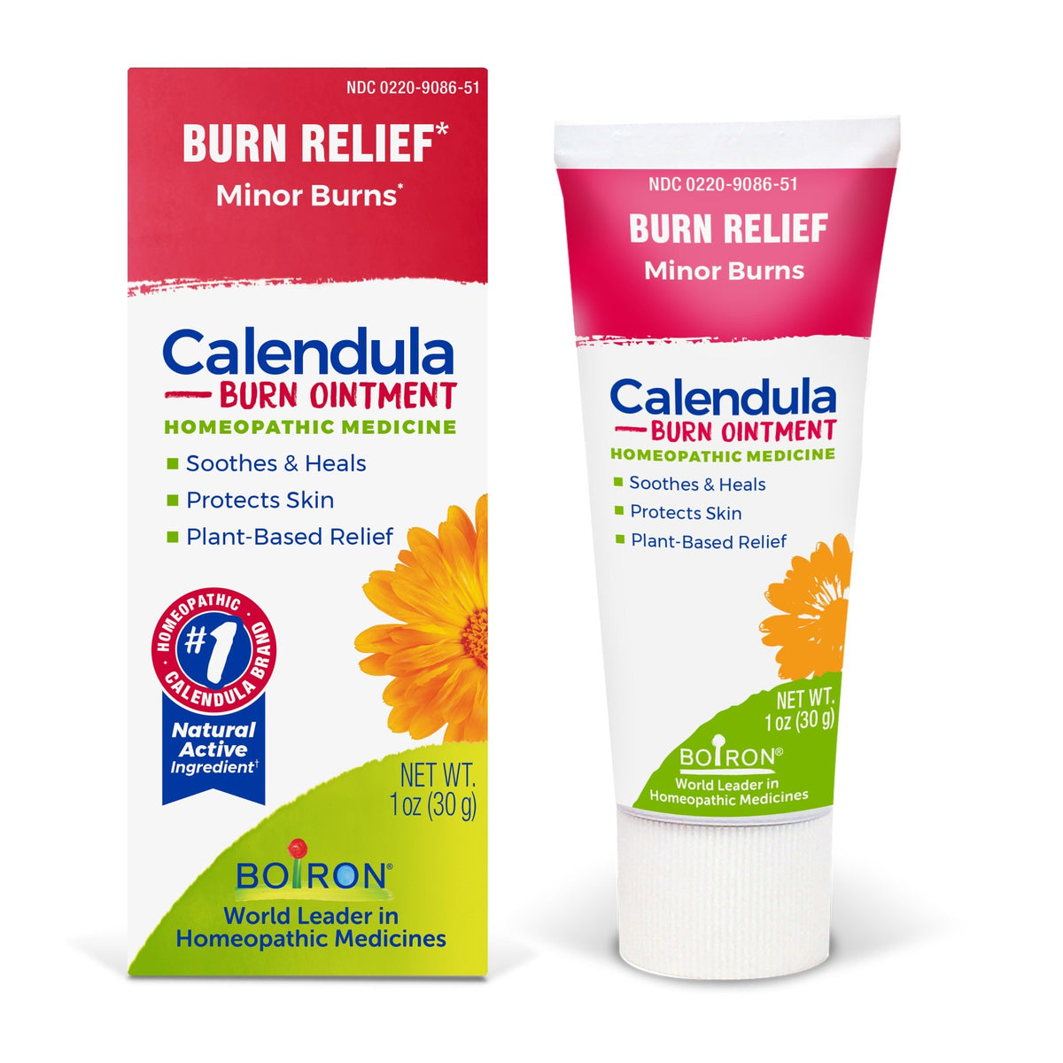 Boiron Calendula Burn Homeopathic Medicine For Burn Relief 1 oz Ointment