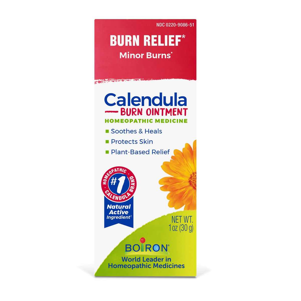 Boiron Calendula Burn Homeopathic Medicine For Burn Relief 1 oz Ointment