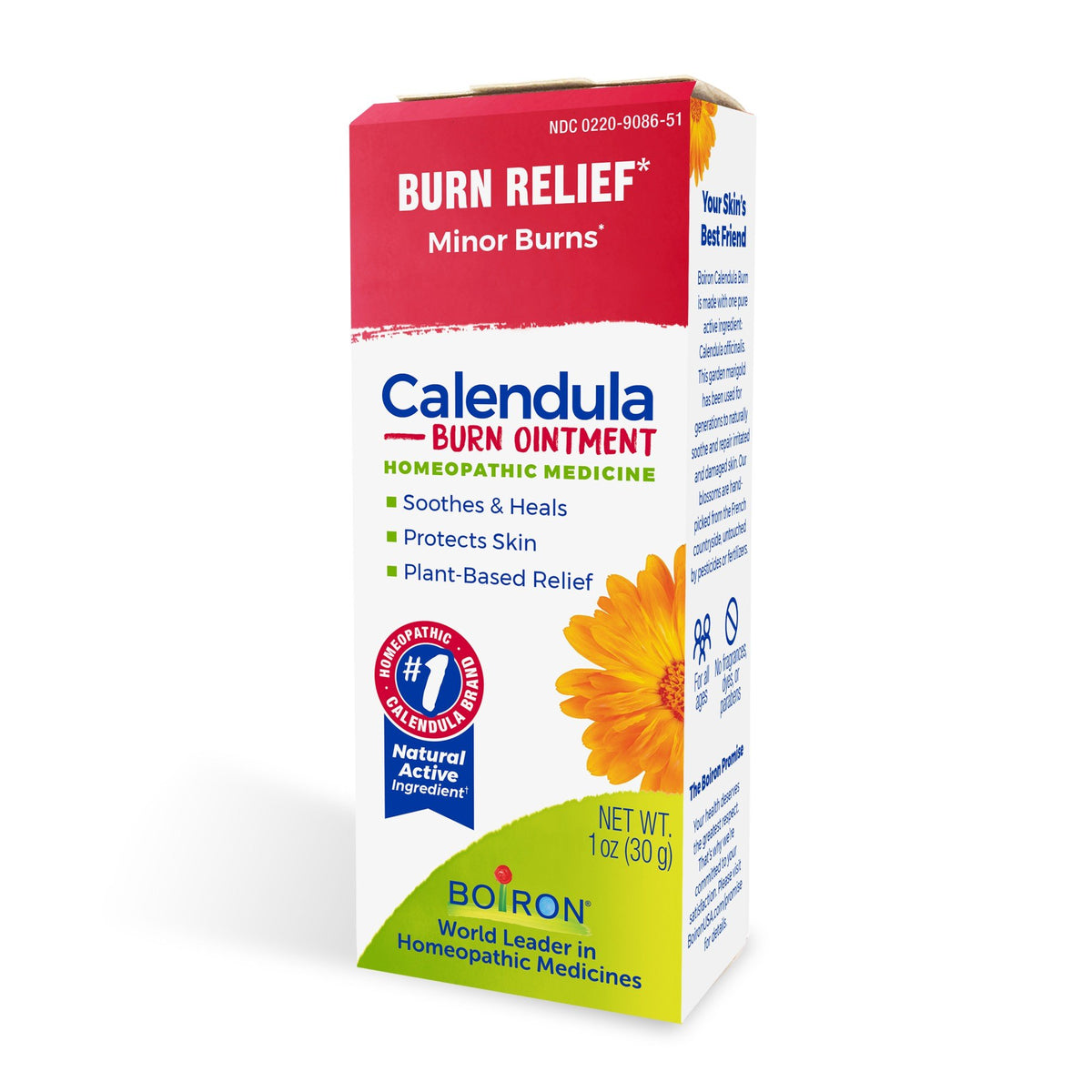 Boiron Calendula Burn Homeopathic Medicine For Burn Relief 1 oz Ointment