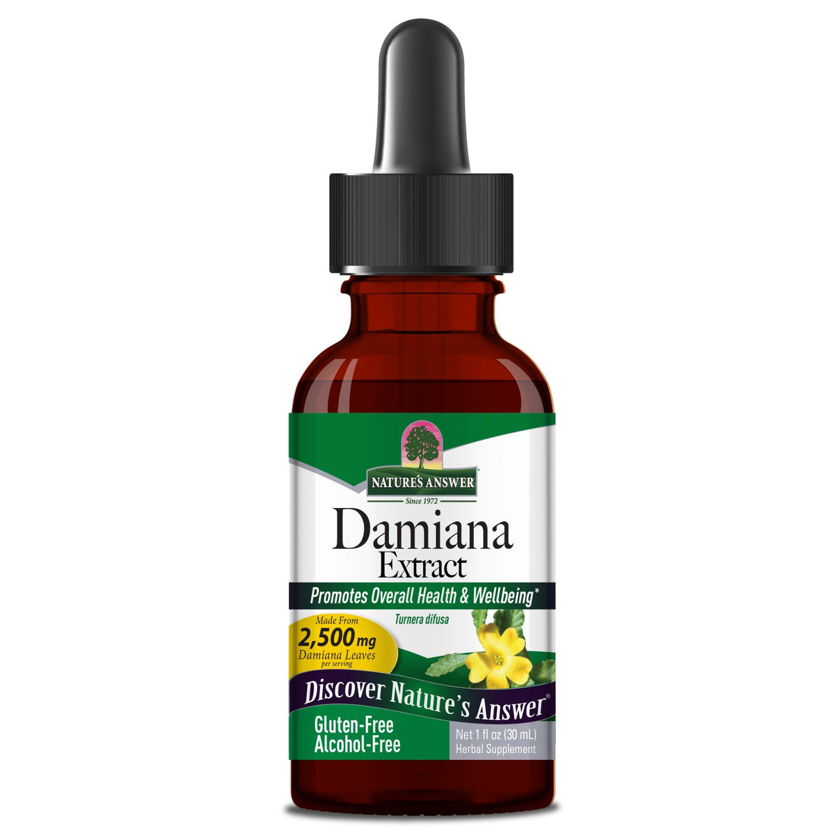Nature's Answer Damiana Leaf Extract Alcohol-Free 1 oz Liquid