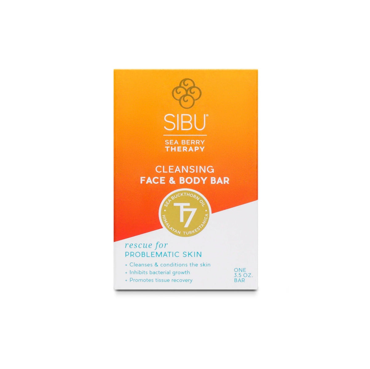 Sibu Beauty Cleansing Face &amp; Body Bar 3.5 oz Bar