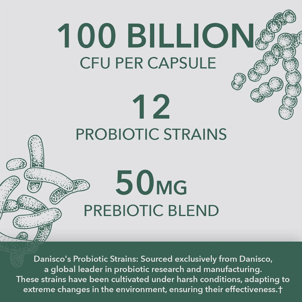 PlantFusion Vegan Optimal Probiotic 100 Billion 30 VegCap