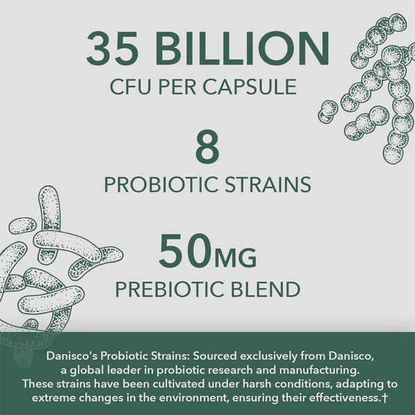 PlantFusion Vegan One Per Day Probiotic 35 Billion 30 VegCap