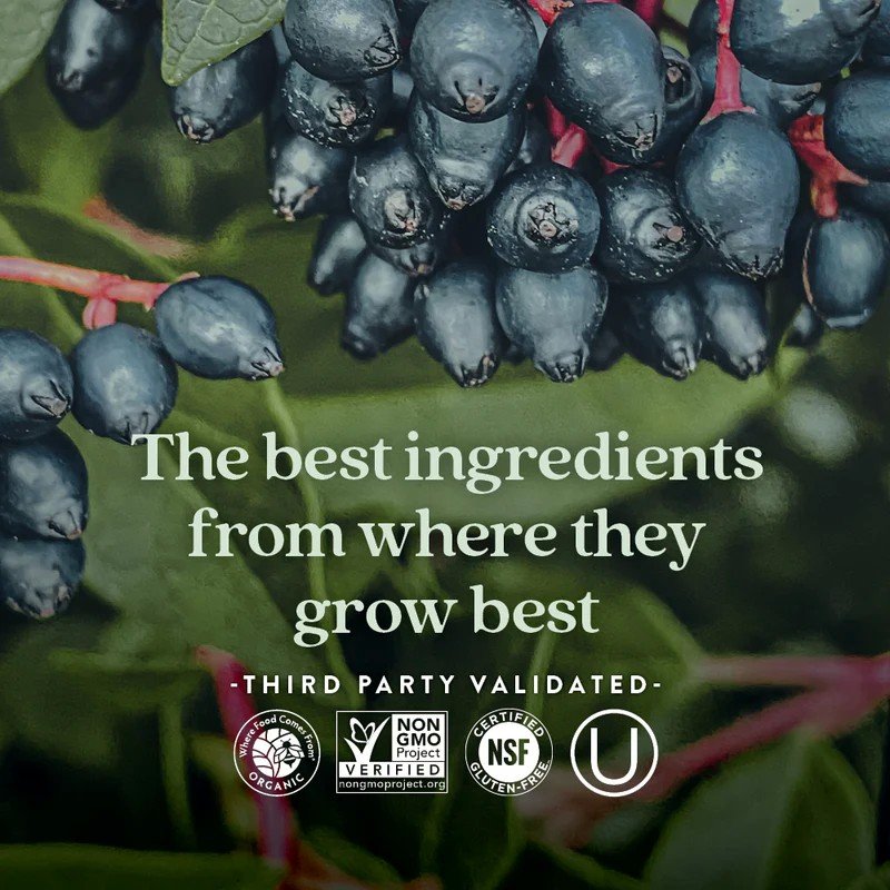 New Chapter Fermented Activated C Complex 30 Tablet