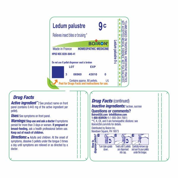 Boiron Ledum Palustre 9C Homeopathic Single Medicine For First Aid 80 Pellet