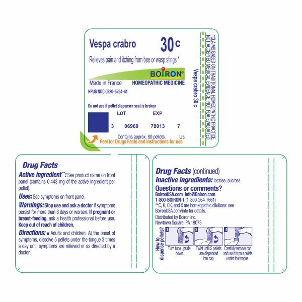 Boiron Vespa Crabro 30C Homeopathic Single Medicine For First Aid 80 Pellet