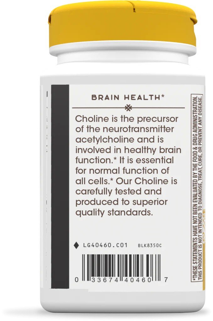 Nature&#39;s Way Choline 500mg 100 Tablet