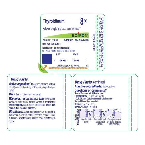 Boiron Thyroidinum 8X Homeopathic Single Medicine For First Aid 80 Pellet