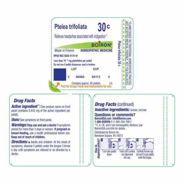 Boiron Ptelea Trifoliata 30C Homeopathic Single Medicine For Digestive 80 Pellet