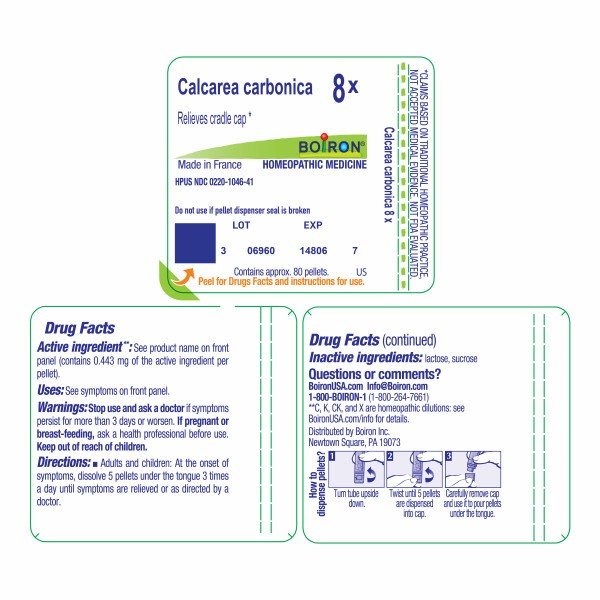 Boiron Calcarea Carbonica 8X Homeopathic Single Medicine For Children 80 Pellet