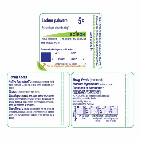 Boiron Ledum Palustre 5C Homeopathic Single Medicine For First Aid 80 Pellet