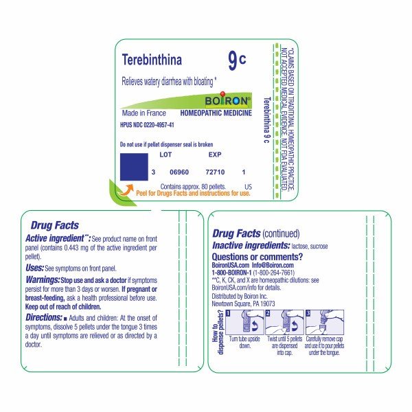 Boiron Terebinthina 9C Homeopathic Single Medicine For Digestive 80 Pellet