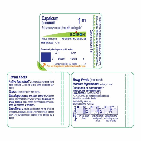 Boiron Capsicum Annuum 1M Homeopathic Single Medicine For Allergy 80 Pellet