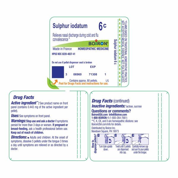 Boiron Sulphur Iodatum 6C Homeopathic Single Medicine For Cough, Cold &amp; Flu 1 Tube Pellet