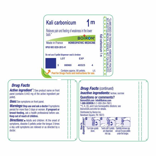 Boiron Kali Carbonicum 1M Homeopathic Single Medicine For Pain 80 Pellet