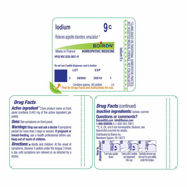 Boiron Iodium 9C Homeopathic Single Medicine For Digestive 80 Pellet