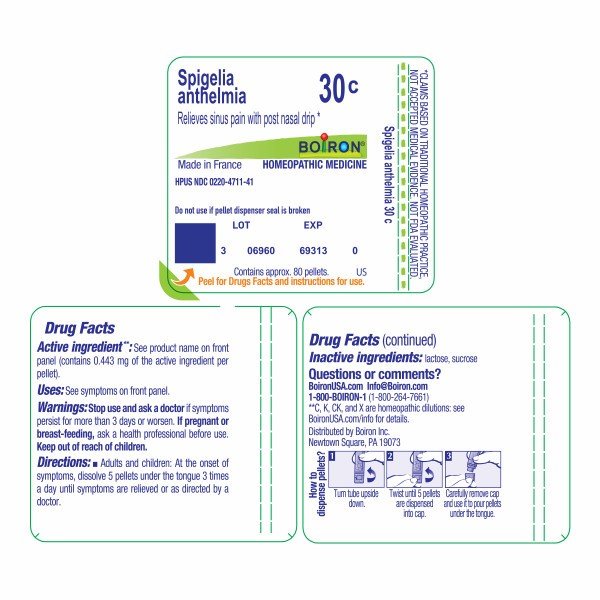 Boiron Spigelia Anthelmia 30C Homeopathic Single Medicine For Cough, Cold &amp; Flu 80 Pellet