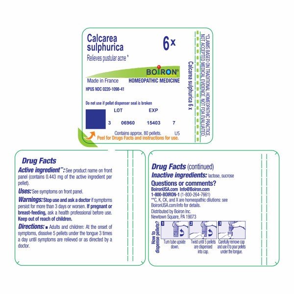 Boiron Calcarea Sulphurica 6X Homeopathic Single Medicine For First Aid 80 Pellet