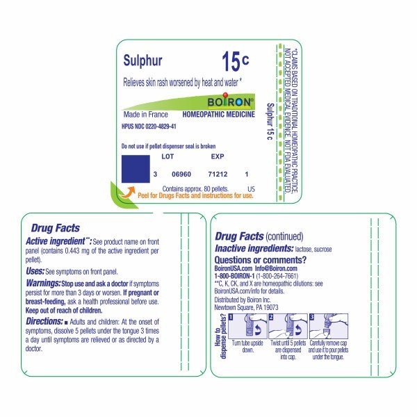 Boiron Sulphur 15C Homeopathic Single Medicine For First Aid 80 Pellet