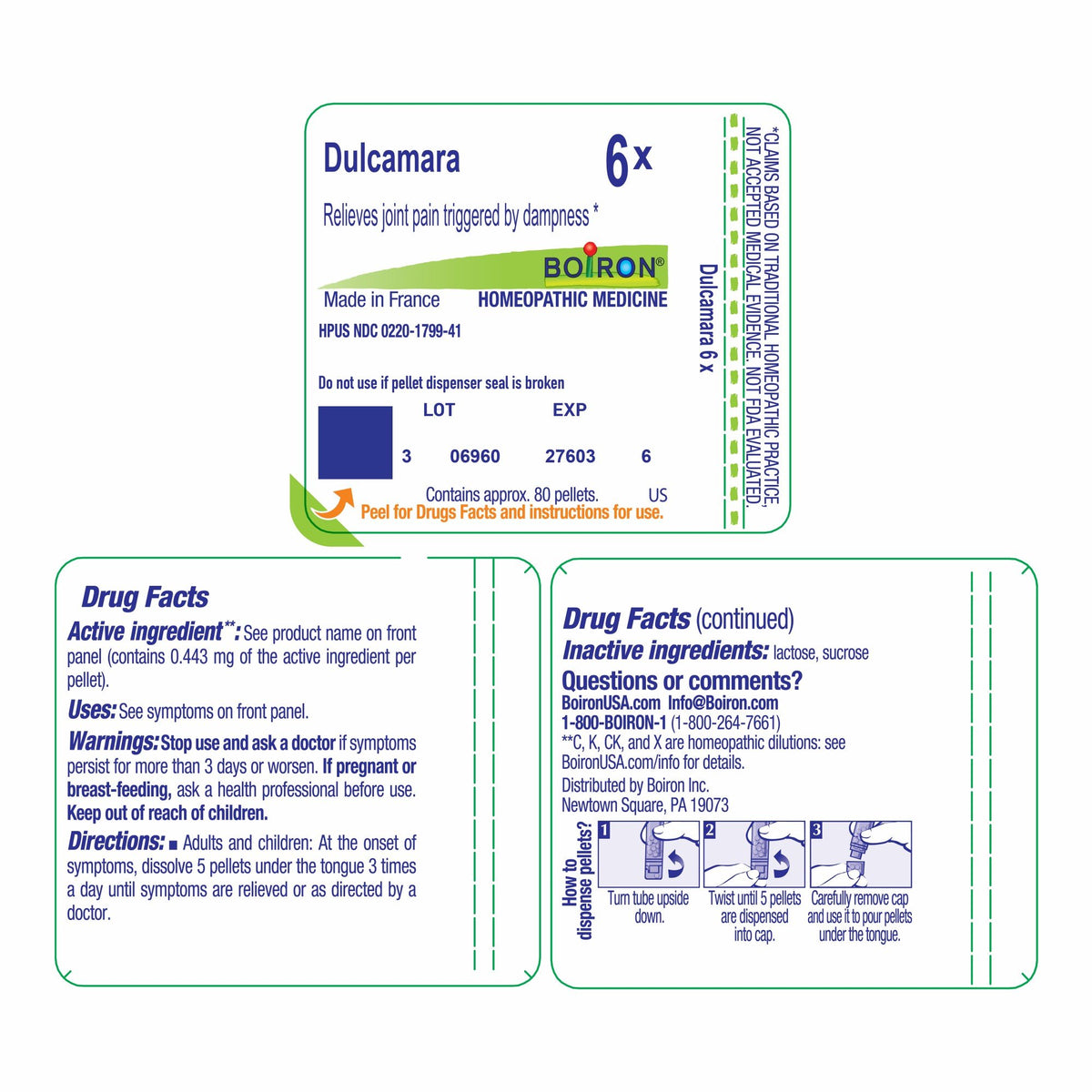 Boiron Dulcamara 6X Homeopathic Single Medicine For Pain 80 Pellet