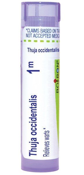 Boiron Thuja Occidentalis 1M Homeopathic Single Medicine For First Aid 80 Pellet