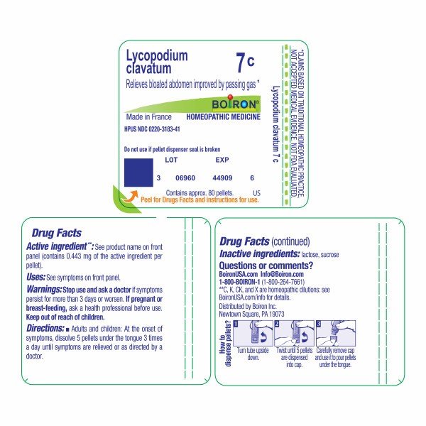 Boiron Lycopodium Clavatum 7C Homeopathic Single Medicine For Digestive 80 Pellet