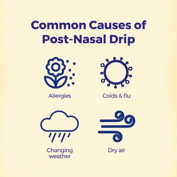 Boiron Hydrastis Canadensis 6C 3 MDT Homeopathic Medicine For Post-Nasal Drip Relief 3 Tubes Box