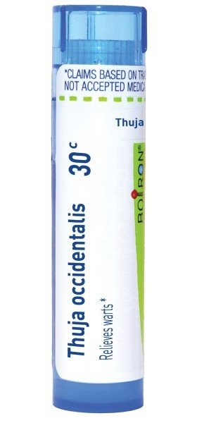 Boiron Thuja Occidentalis 30C Homeopathic Single Medicine For First Aid 80 Pellet