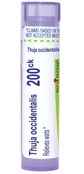 Boiron Thuja Occidentalis 200CK Homeopathic Single Medicine For First Aid 80 Pellet