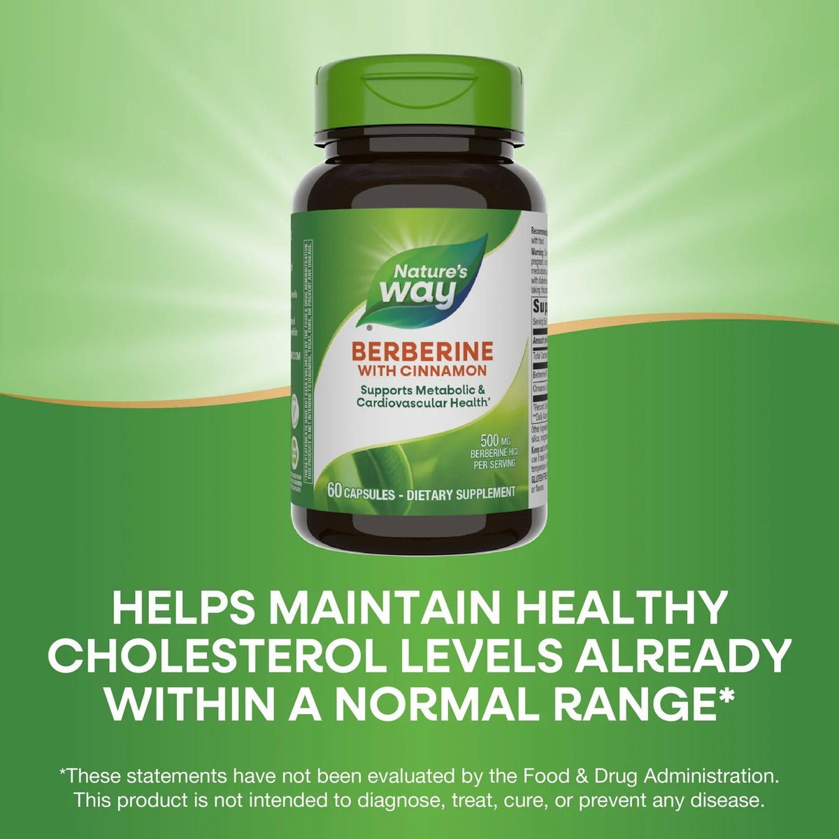 Nature's Way Berberine with Cinnamon 60 Vegetarian Capsules