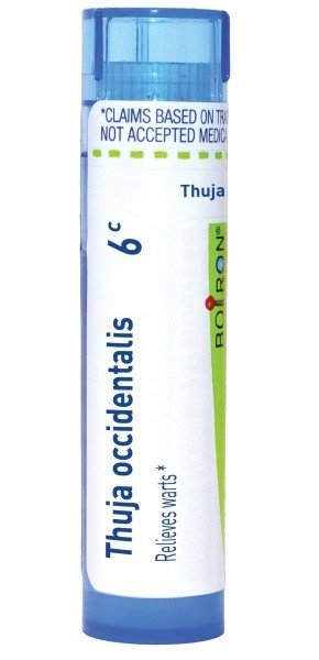 Boiron Thuja Occidentalis 6C Homeopathic Single Medicine For First Aid 1 Tube Pellet