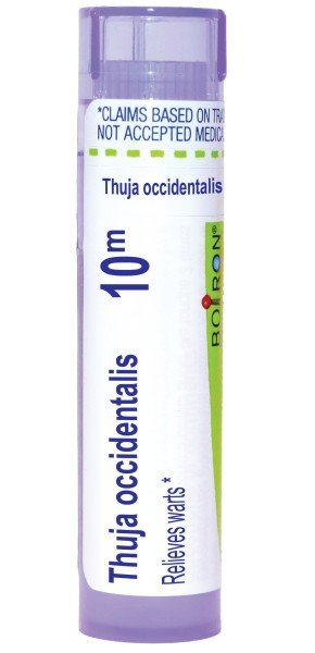 Boiron Thuja Occidentalis 10M Homeopathic Single Medicine For First Aid 80 Pellet