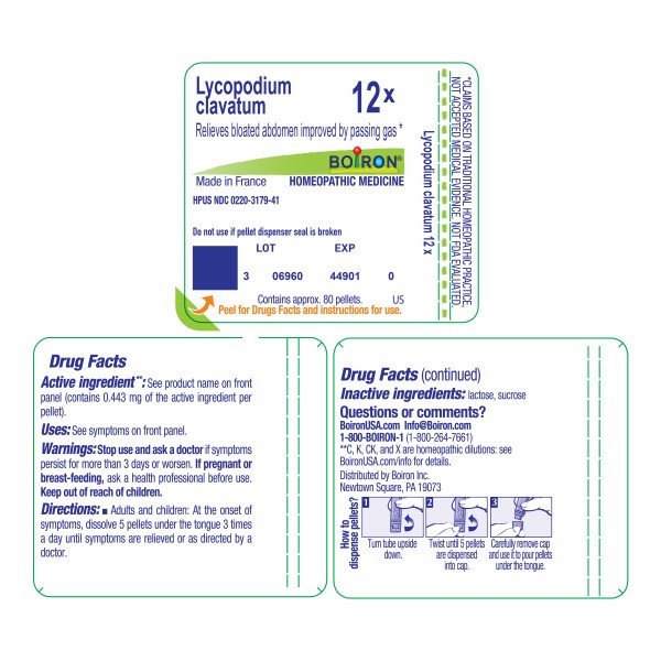 Boiron Lycopodium Clavatum 12X Homeopathic Single Medicine For Digestive 80 Pellet