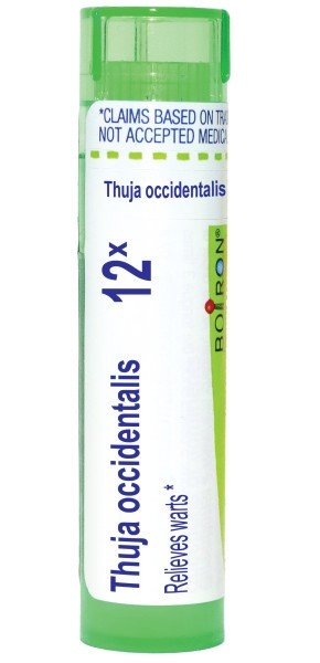 Boiron Thuja Occidentalis 12X Homeopathic Single Medicine For First Aid 80 Pellet