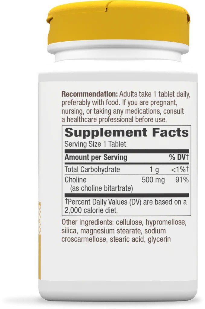 Nature&#39;s Way Choline 500mg 100 Tablet