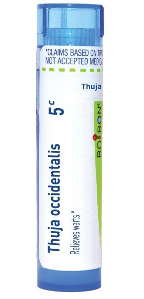 Boiron Thuja Occidentalis 5C Homeopathic Single Medicine For First Aid 80 Pellet