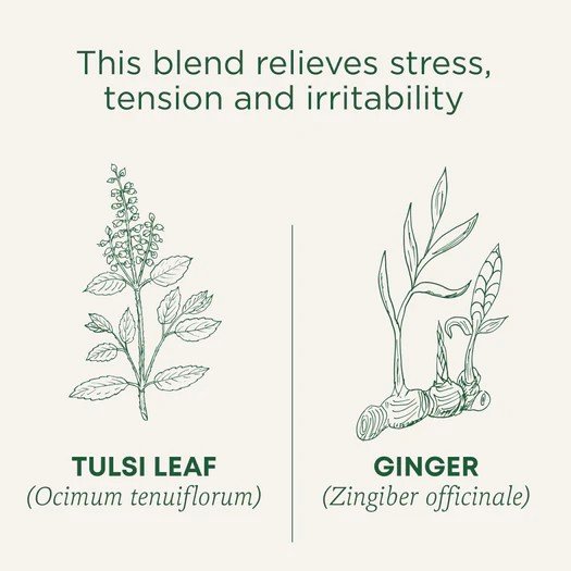 Traditional Medicinals Tulsi &amp; Ginger Tea 16 Tea Bags Box