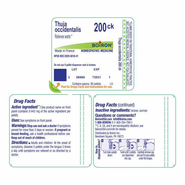 Boiron Thuja Occidentalis 200CK Homeopathic Single Medicine For First Aid 80 Pellet