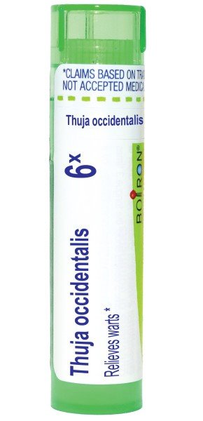 Boiron Thuja Occidentalis 6X Homeopathic Single Medicine For First Aid 80 Pellet