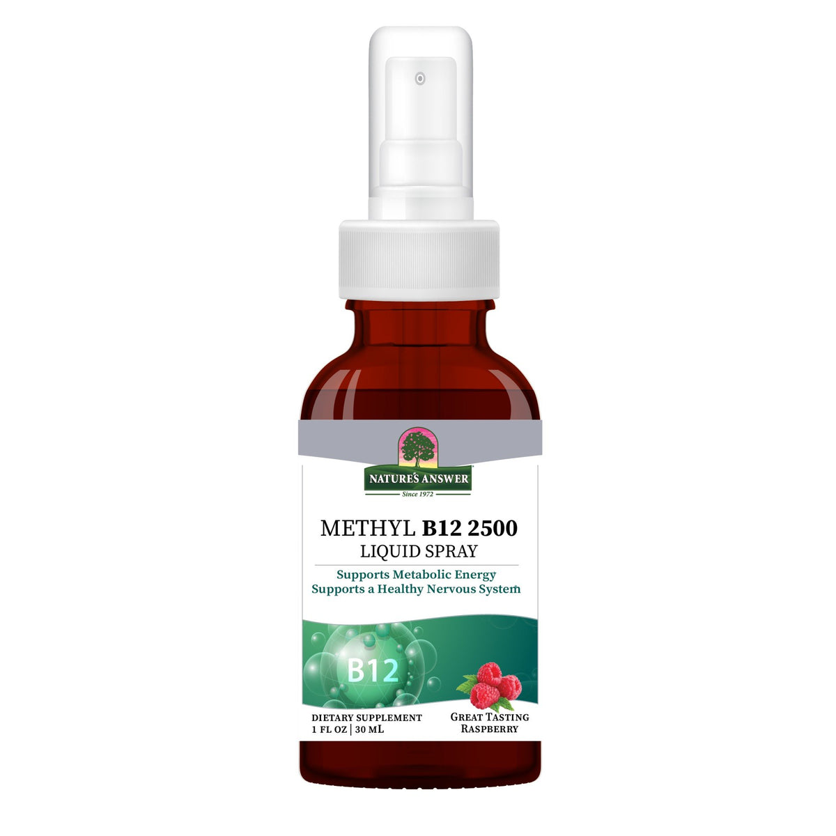 Nature's Answer B12 Methyl Liquid Spray 1 fl oz Liquid