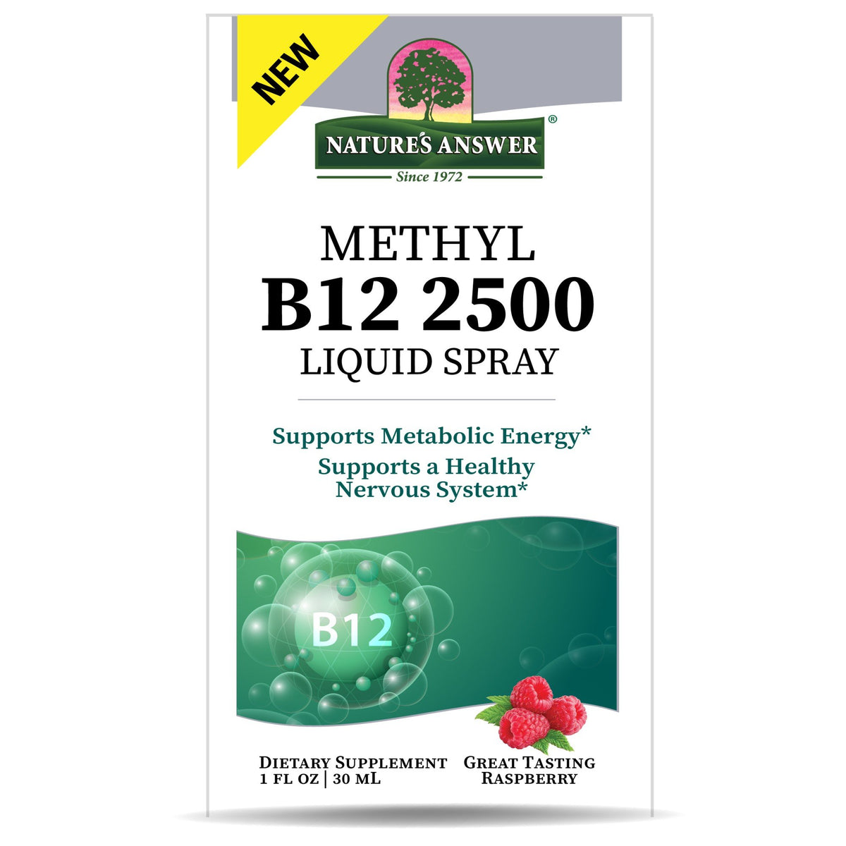 Nature&#39;s Answer B12 Methyl Liquid Spray 1 fl oz Liquid