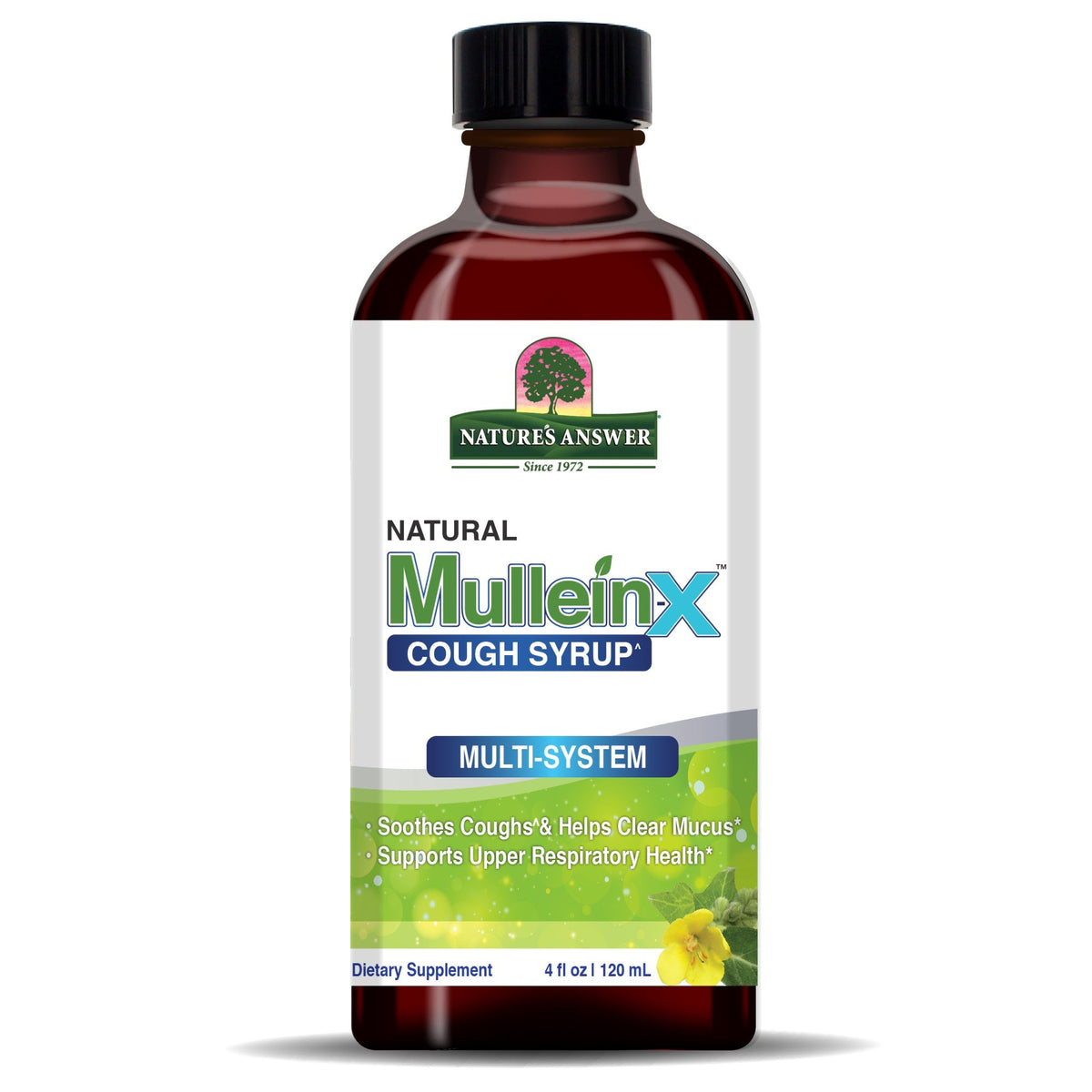 Nature&#39;s Answer Mullein-X Multi-System Cough Syrup 4 fl oz Liquid