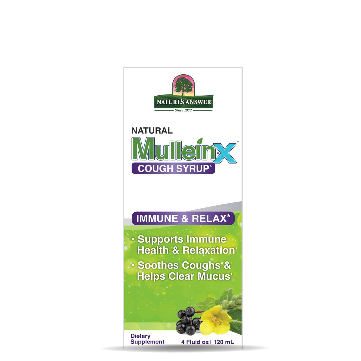 Nature&#39;s Answer Mullein-X Immune &amp; Relax Cough Syrup 4 fl oz Liquid