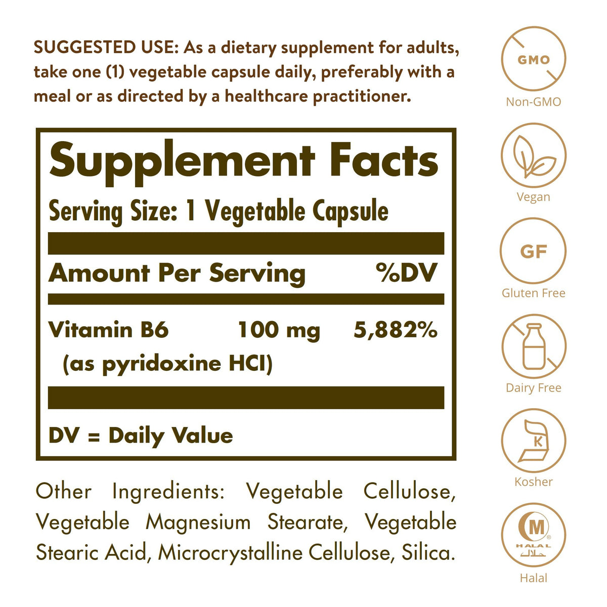 Solgar Vitamin B-6 100mg 100 Capsule