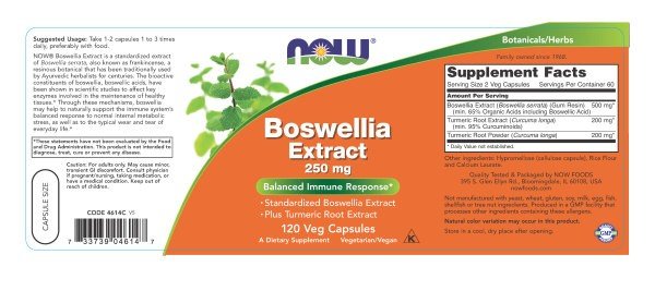 Now Foods Boswellin Extract 250 mg 120 Capsule